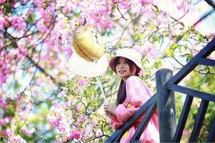 爆料樱花女生视频,青春活力，校园风采尽收眼底